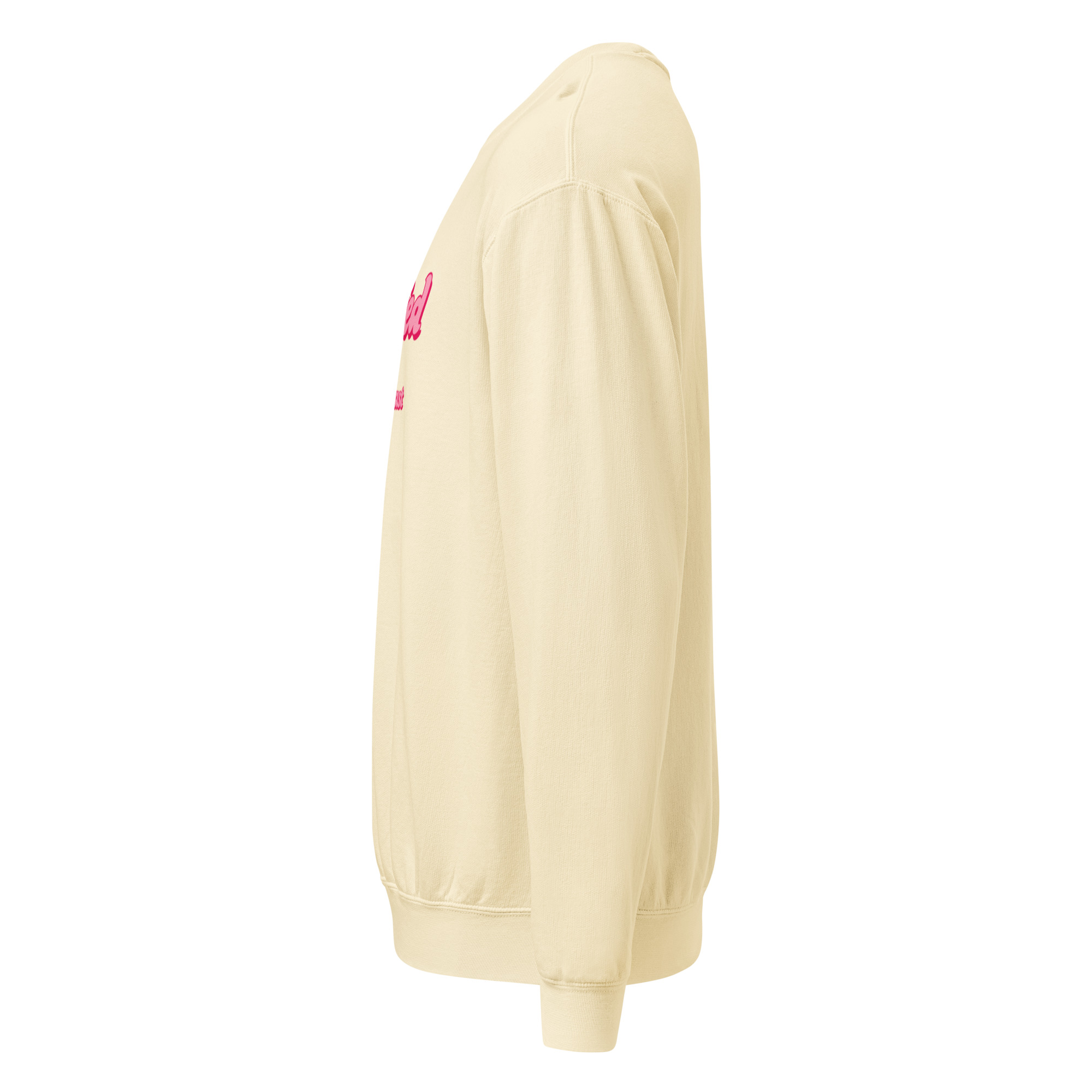 Fully Fed Sweatshirt - Image 11