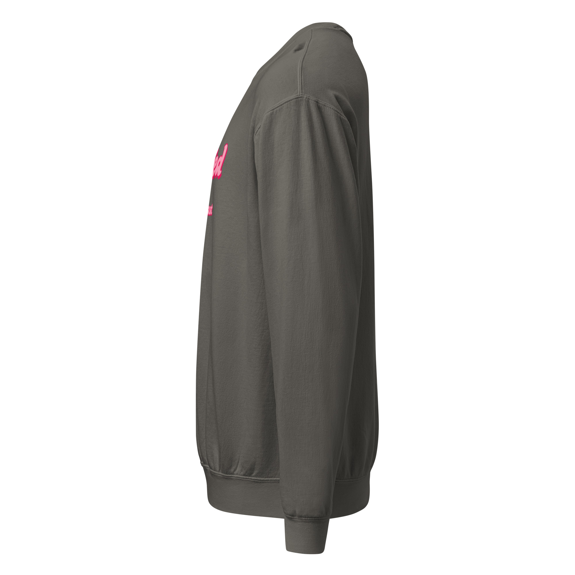 Fully Fed Sweatshirt - Image 7